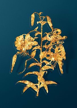 Vintage Botanical Drawing