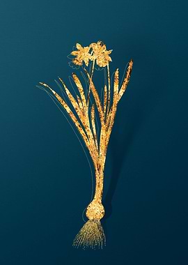 Vintage Illustration Gold