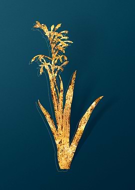 Gold Botanical on Teal