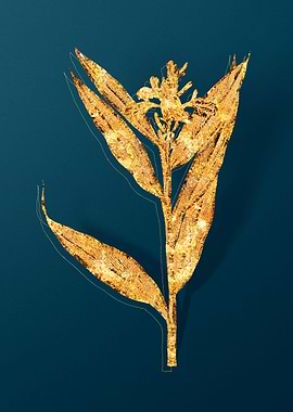 Gold Antique Botanicals