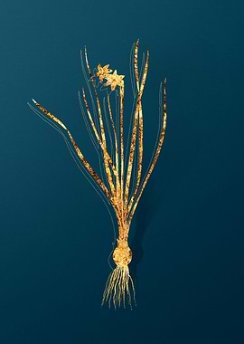 Gold Floral Illustration