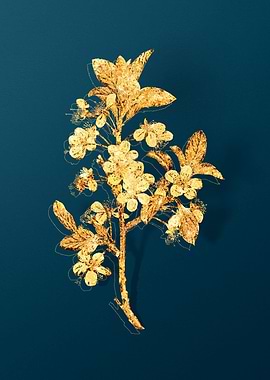 Vintage Botanical Drawing