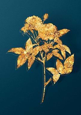 Vintage Flower Drawing