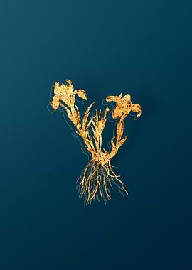 Gold Floral Illustration