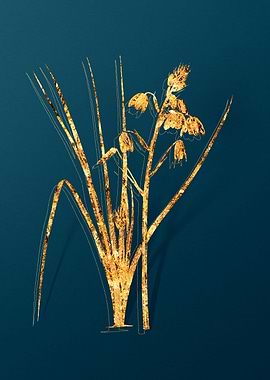 Gold Flower Illustration