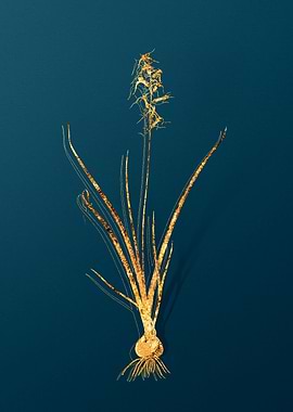 Gold Antique Flowers Teal