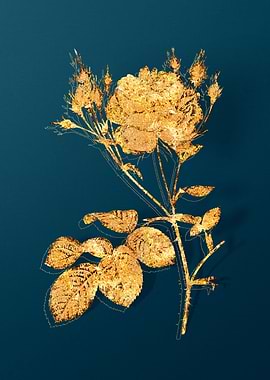 Vintage Flower Drawing