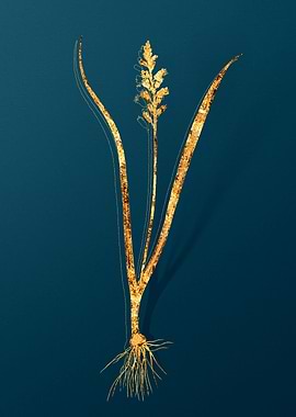 Gold Floral Illustration