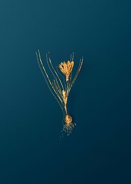 Gold Flower Illustration