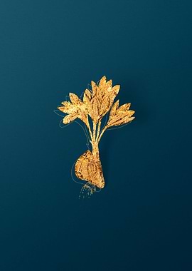 Gold Botanicals on Teal