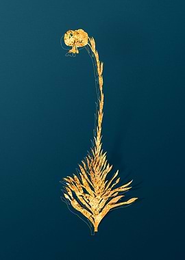 Gold Flower Illustration