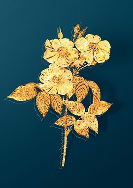 Gold Floral Illustration