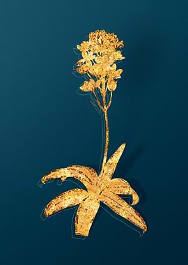 Vintage Flower Drawing