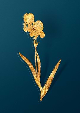 Vintage Floral Drawing