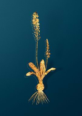 Gold Flower Illustration