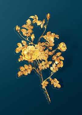 Vintage Botanical Drawing