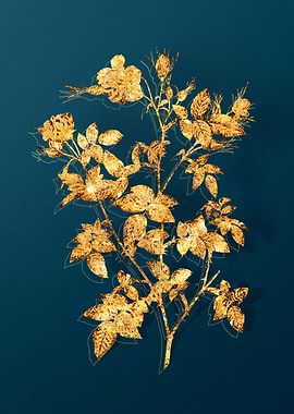 Vintage Flower Drawing