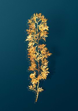 Gold Flowers on Teal