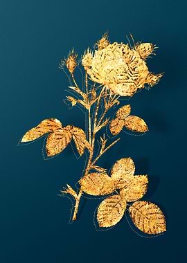 Vintage Botanical Drawing