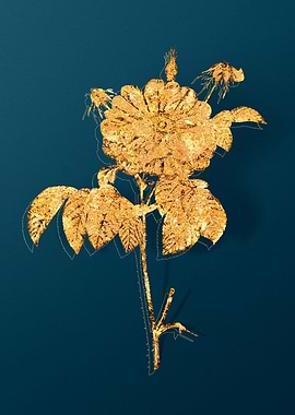 Vintage Plant Illustration