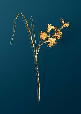 Gold Antique Botanicals