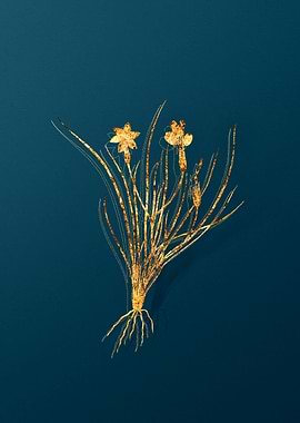 Gold Antique Botanicals