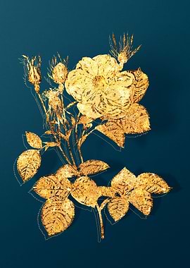 Vintage Botanical Drawing