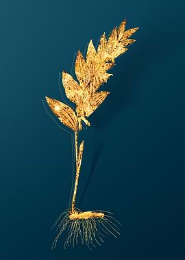 Gold Botanical on Teal