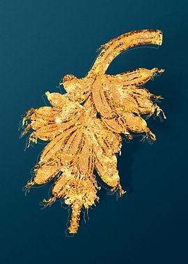 Gold Botanicals on Teal