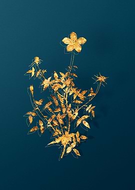 Gold Flower Illustration