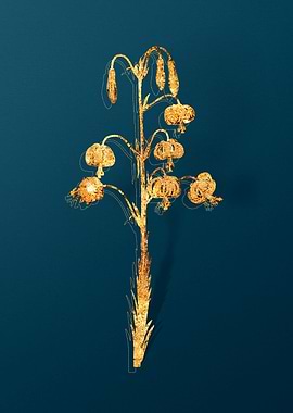 Vintage Illustration Gold