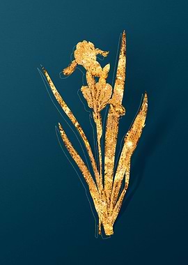 Vintage Floral Drawing