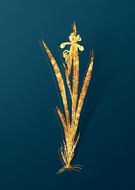 Vintage Botanical Drawing