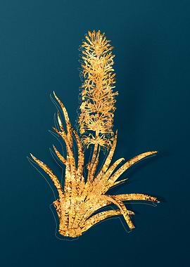 Gold Flower Illustration