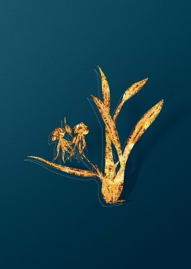 Gold Vintage Flowers Teal