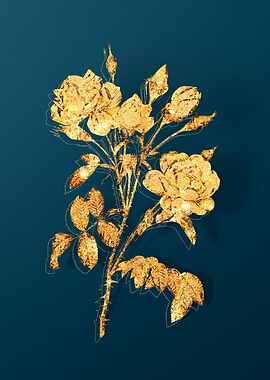 Antique Flower Drawing
