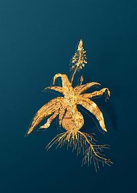 Gold Floral Illustration