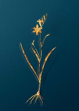 Gold Floral Illustration