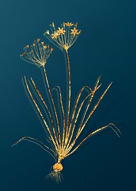 Gold Botanical on Teal