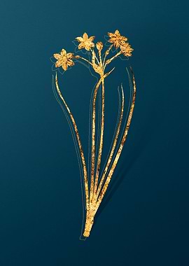 Gold Floral Illustration