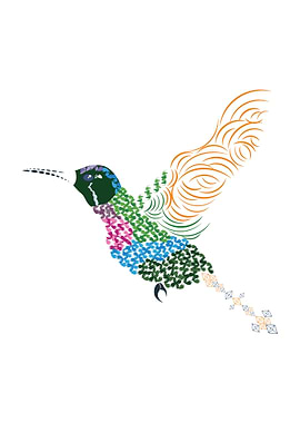 GarnetThroated Hummingbird