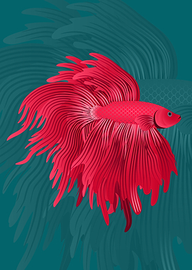 Pink Betta