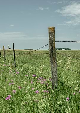 Post Standing Tall