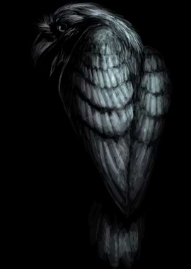 Raven
