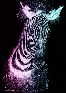 Dreamy Zebra