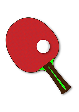 Table Tennis Bat