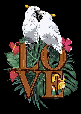 Cockatoo Parrot Bird