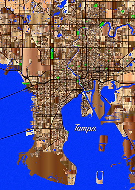 Tampa United States