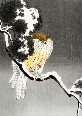 Hawk and its prey woodcut