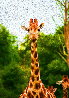 Long Necked Giraffe